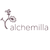 Alchemilla